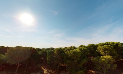 Neubau - Apartment - Flat - Santiago de la Ribera - 