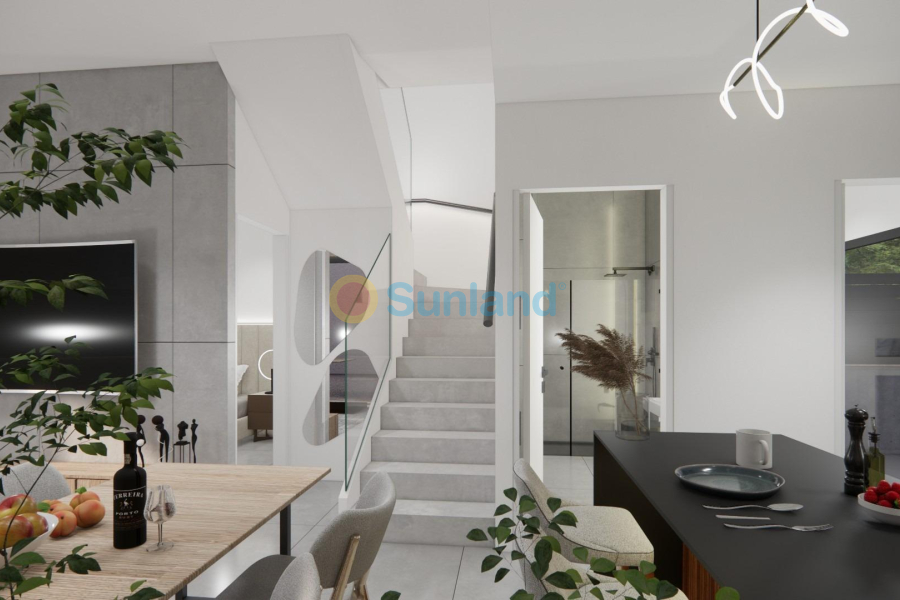 Ny bygg - Villa - Los Montesinos - La Herrada