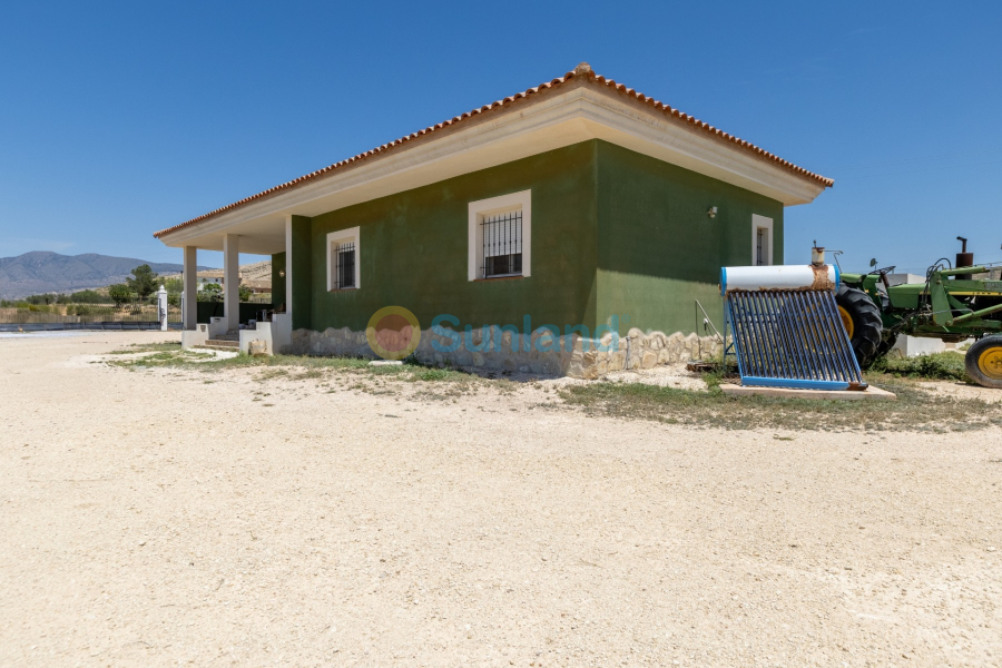 Resale - Country house - Torre Del Rico