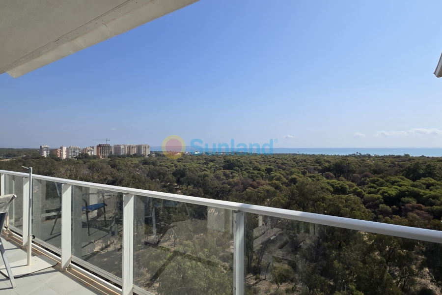 Resale - Apartment - Guardamar del Segura - 