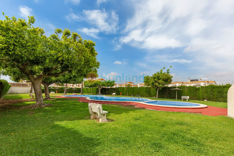 Segunda mano - Adosado - Torrevieja - La Siesta