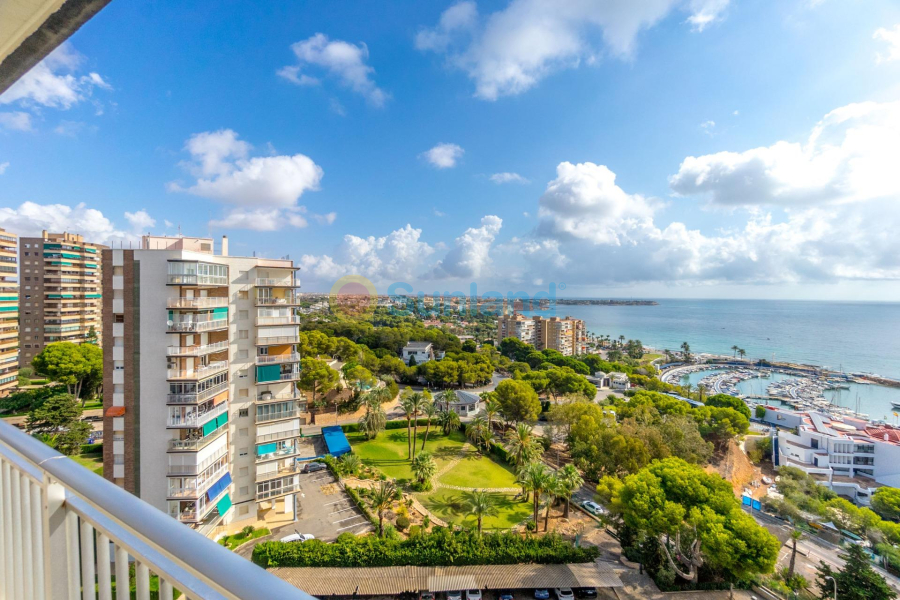 Brukte eiendommer - Leilighet - Orihuela Costa - Agua Marina