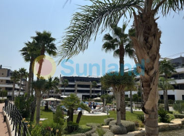 Lägenhet - Använda fastigheter - Orihuela Costa - Playa Flamenca