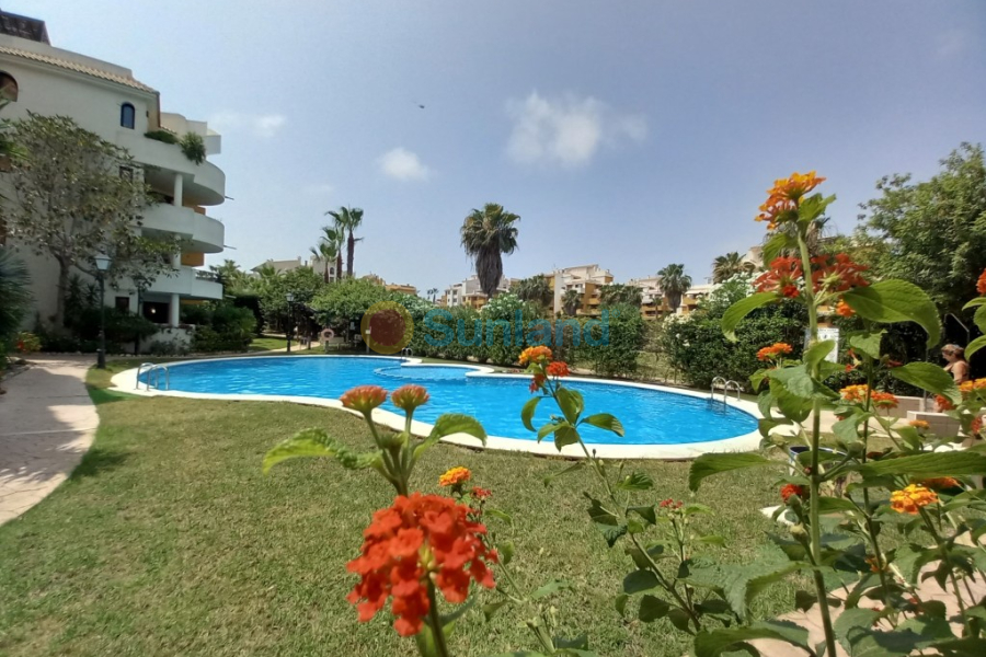 Segunda mano - Apartamento - Punta Prima