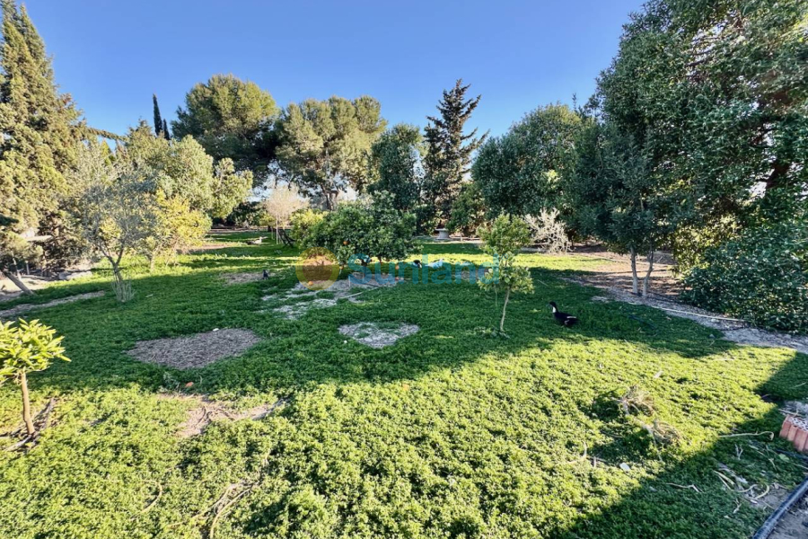 Resale - Villa - Guardamar del Segura