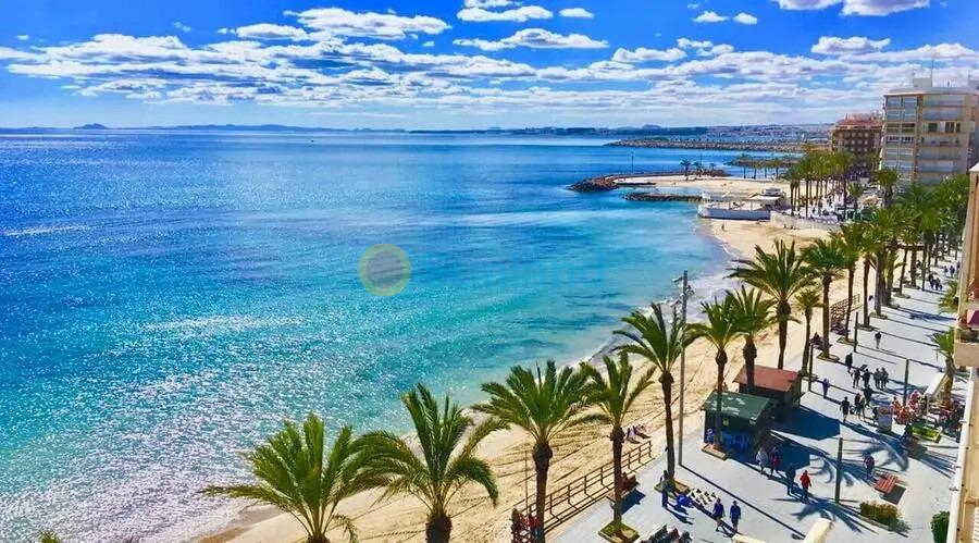 Ny bygg - Takvåning - Torrevieja - Playa de Los Locos