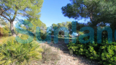 Resale - Villa - Orihuela Costa - Mil Palmeras