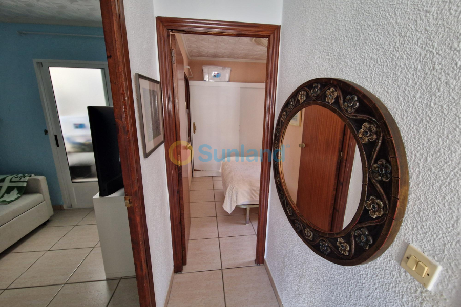 Resale - Villa - Guardamar del Segura - Pinomar