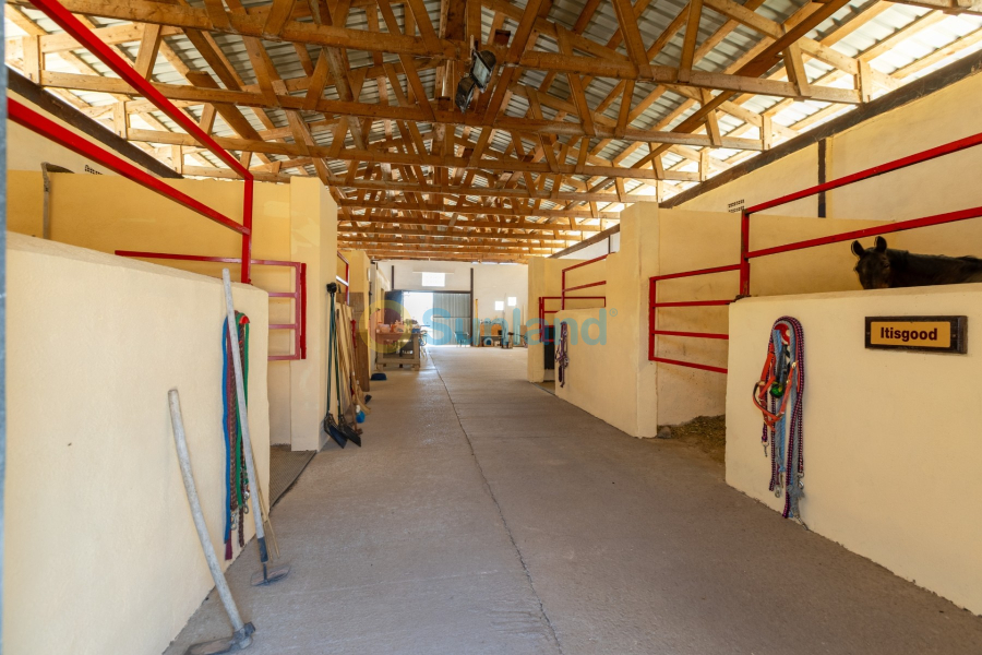 Resale - Country house - Torre Del Rico