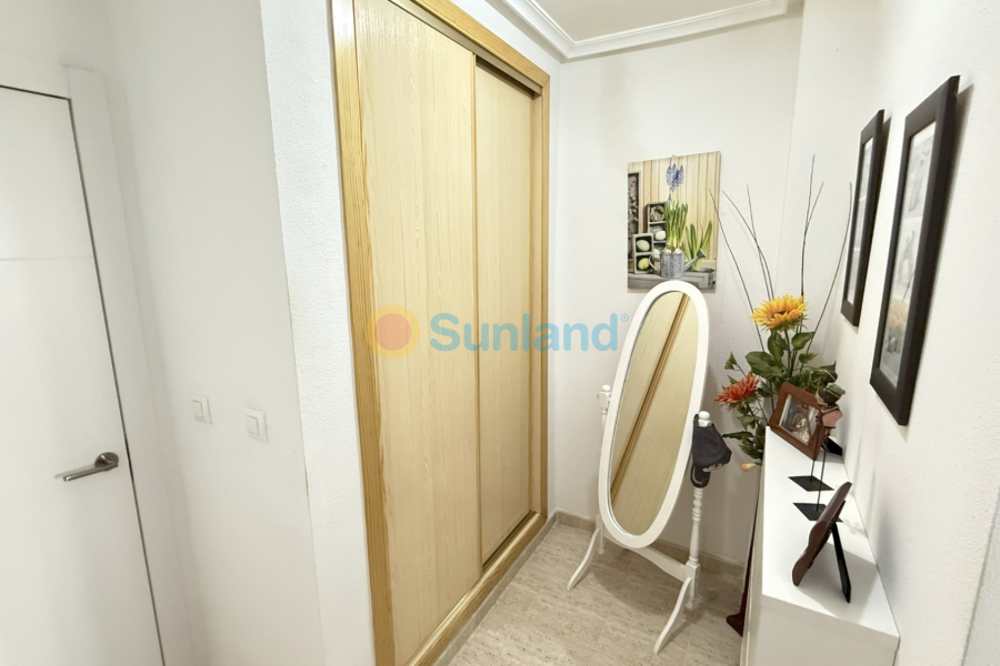 Brukte eiendommer - Leilighet - Orihuela Costa - La Zenia