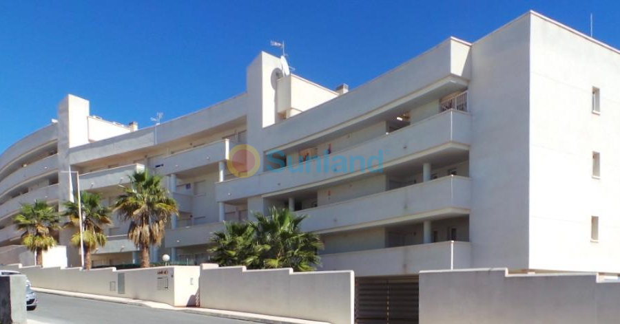 Nueva construcción  - Apartamento - Orihuela Costa - PAU 8