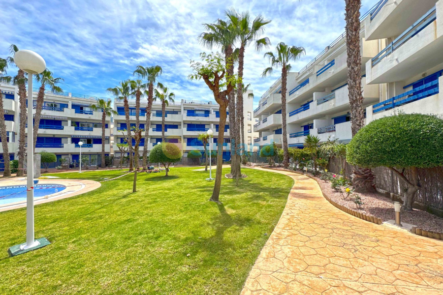 Segunda mano - Apartamento - Orihuela Costa - Playa Flamenca