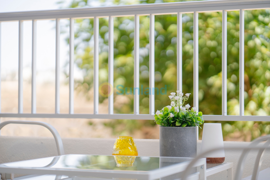 Segunda mano - Flat - Orihuela Costa - Punta Prima