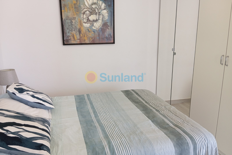 Segunda mano - Apartamento - Orihuela Costa - Mil Palmeras