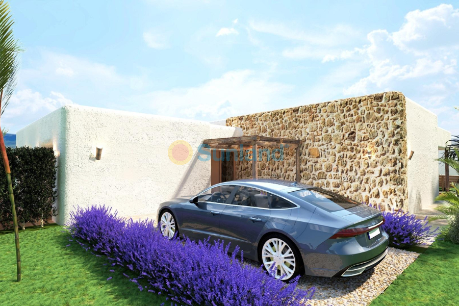 Ny bygg - Villa - Pinoso - Rodriguillo