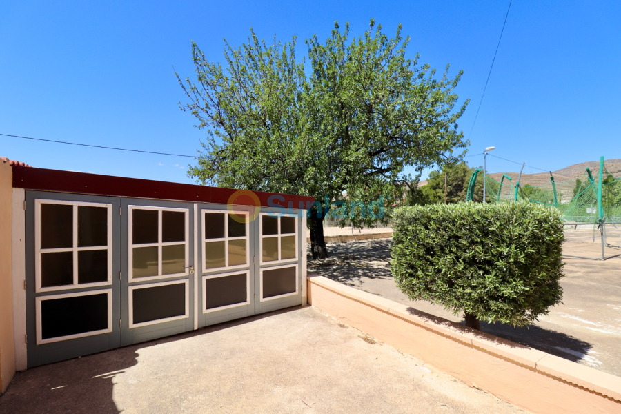 Segunda mano - Chalet - Alicante - San Vicente del Raspeig