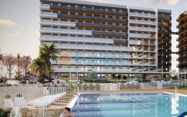 Takvåning - Ny bygg - Torrevieja - Punta Prima