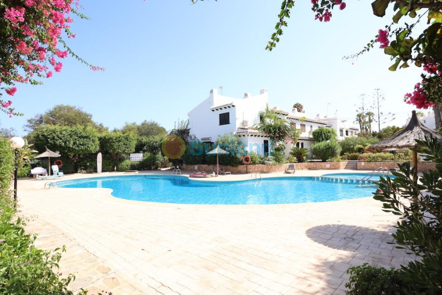 Brukte eiendommer - Terraced house - Cabo Roig - MUY CERCA DE LA PLAYA