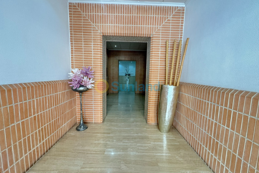 Verkauf - Apartment - Guardamar del Segura - 