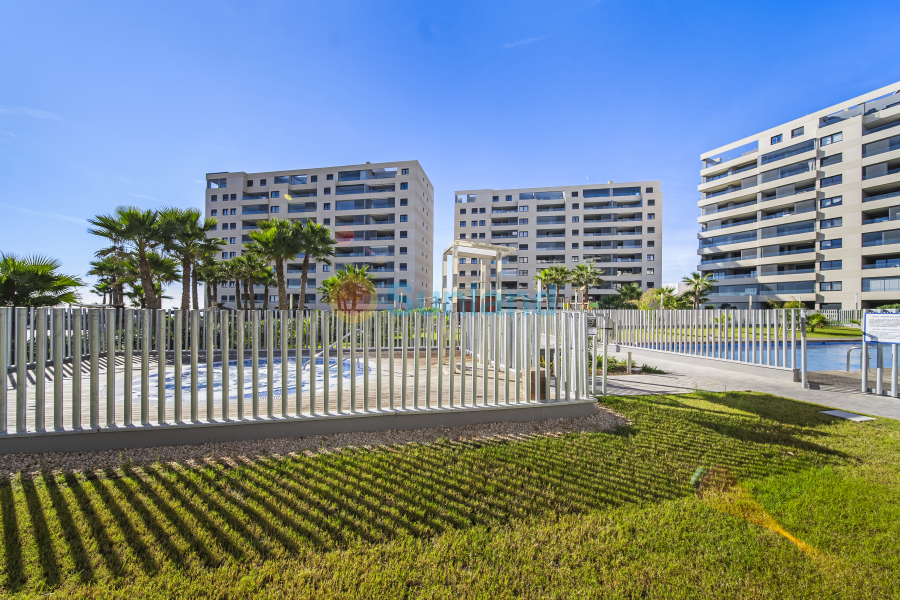 Använda fastigheter - Apartamento - Torrevieja - Punta Prima