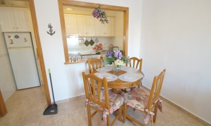 Lang tids utleie - Villa - Torrevieia - Aguas Nuevas