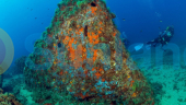 Ny bygg - Takvåning - Aguilas - Isla del fraile
