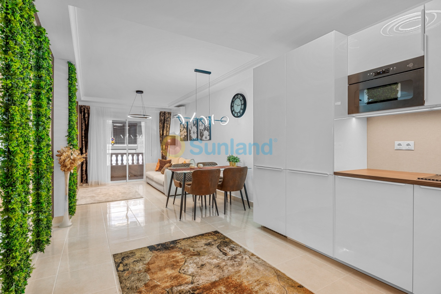 Använda fastigheter - Lägenhet - Torrevieja - Playa del Cura