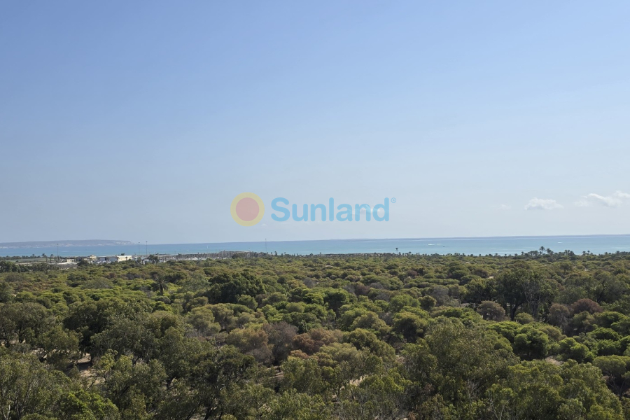 Resale - Apartment - Guardamar del Segura - 