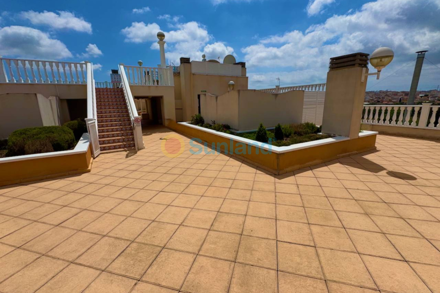 Använda fastigheter - Lägenhet - Formentera del Segura