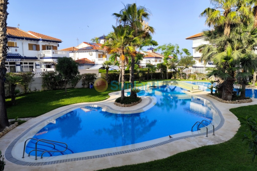 Resale - Apartment - La Mata
