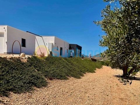 Nueva construcción  - Chalet - Abanilla - Cañada de la Leña