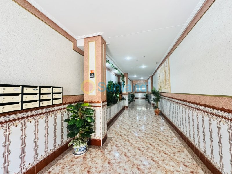 Resale - Apartment - La Mata