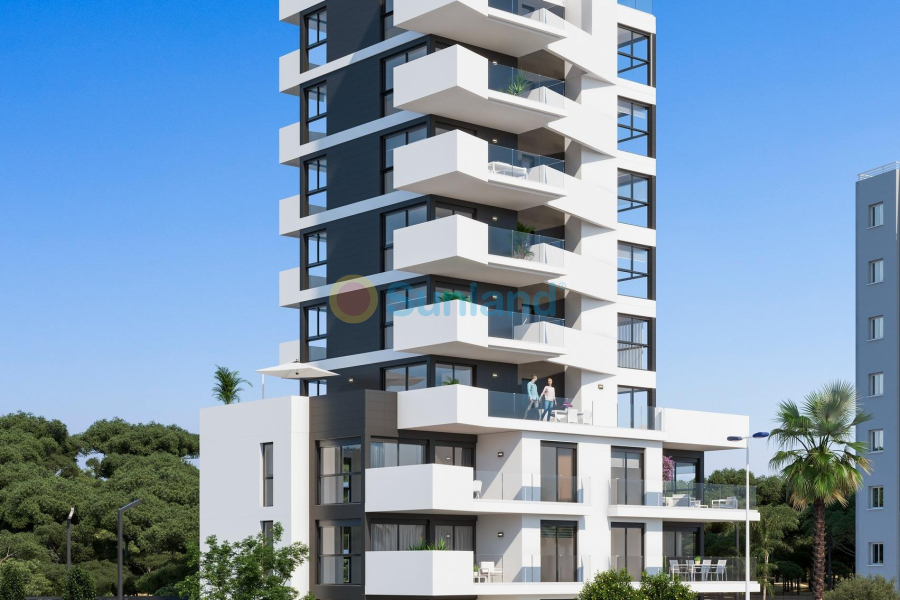 Neubau - Apartment - Guardamar del Segura - Puerto Deportivo