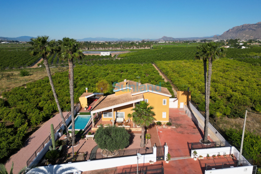 Använda fastigheter - Villa - Orihuela