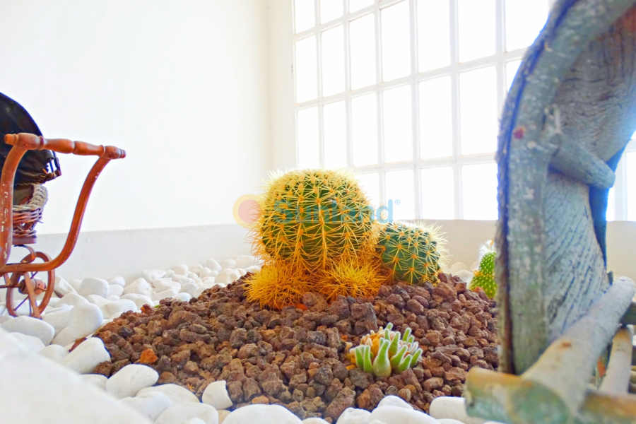 Verkauf - V - Cabo Roig