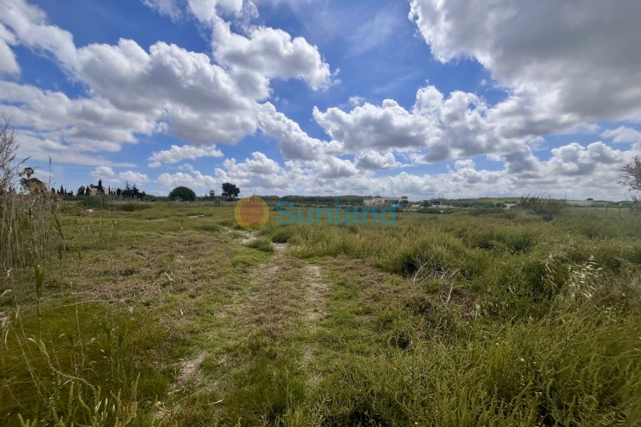 Använda fastigheter - P - Catral