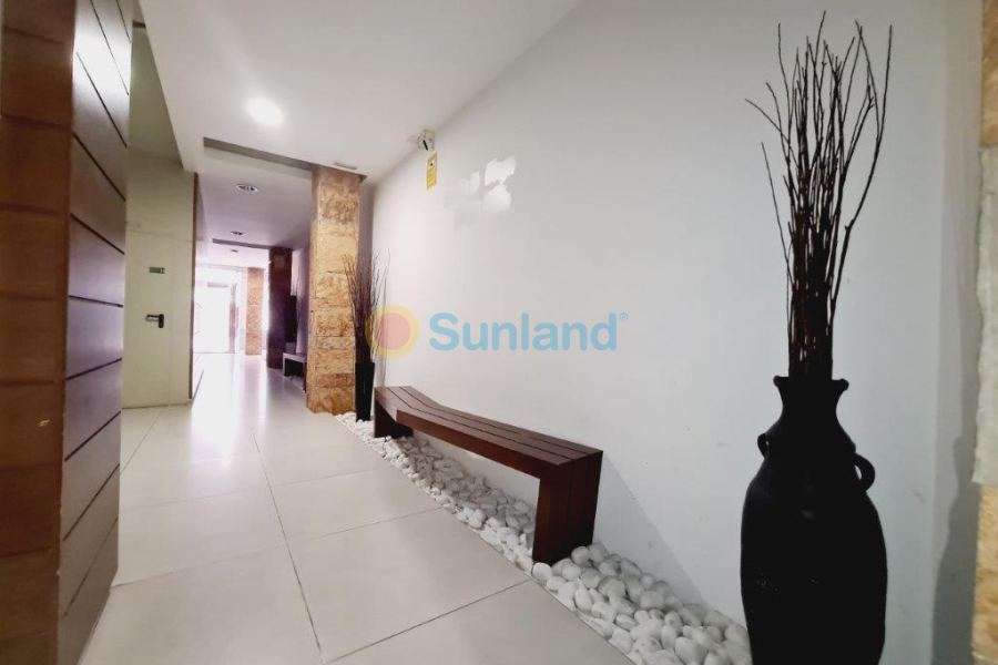 Verkauf - Apartment - La Mata