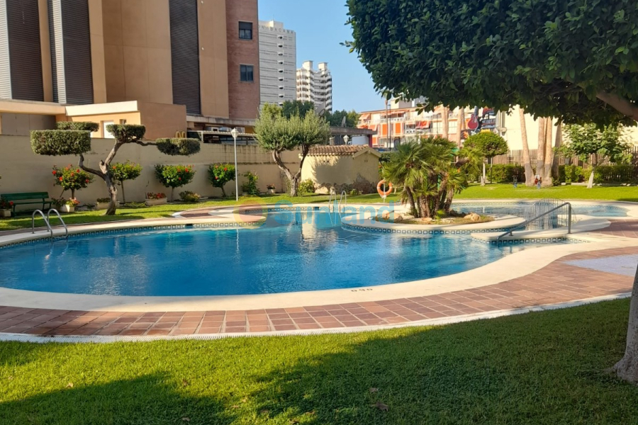Resale - Apartment - Benidorm - Levante