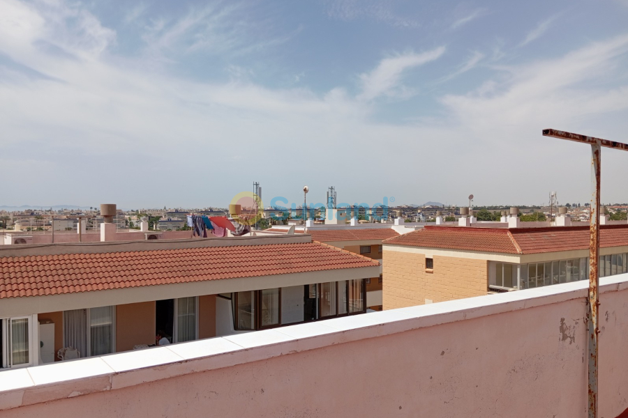 Segunda mano - Apartamento - Orihuela Costa - Mil Palmeras