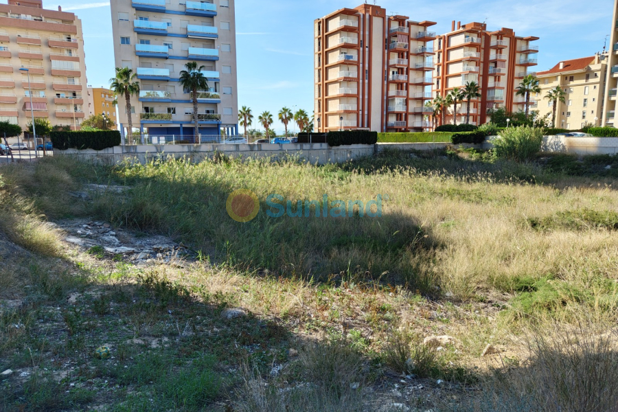 Resale - Land - Guardamar del Segura - 