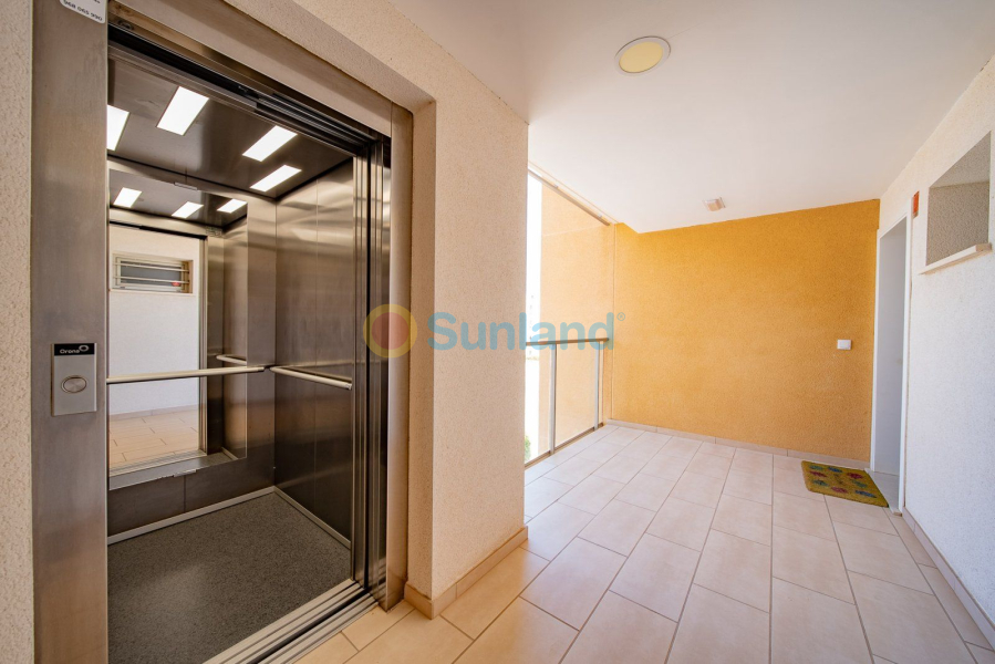 Resale - Apartamento - Orihuela Costa - Villamartin