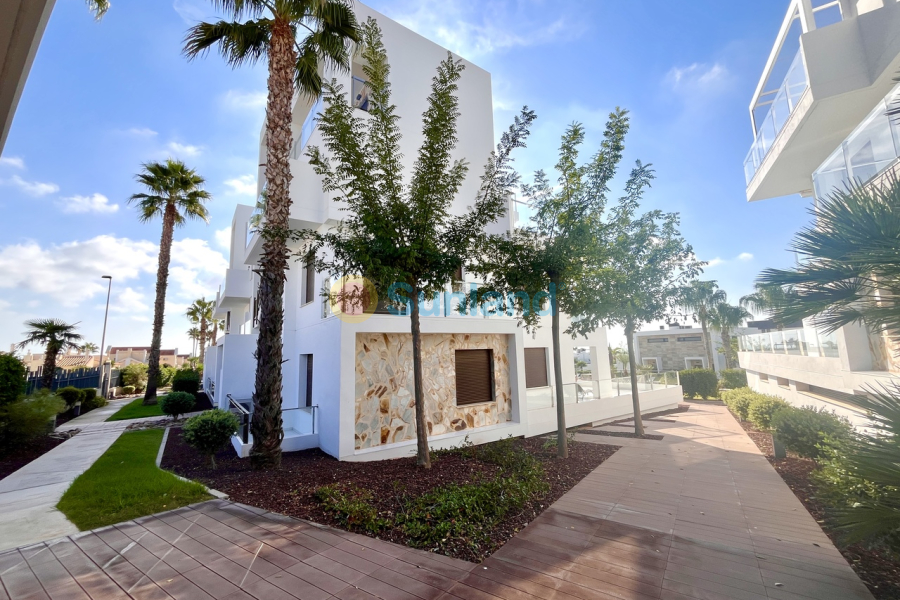 Segunda mano - V - Los Dolses