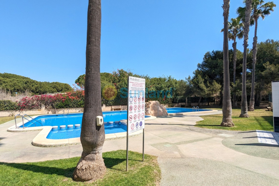 Brukte eiendommer - Leilighet - Pinada Beach La Mata