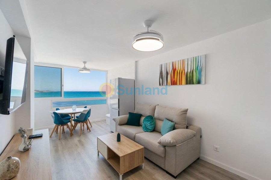 Segunda mano - Apartamento - Torrevieja - Cabo Cervera