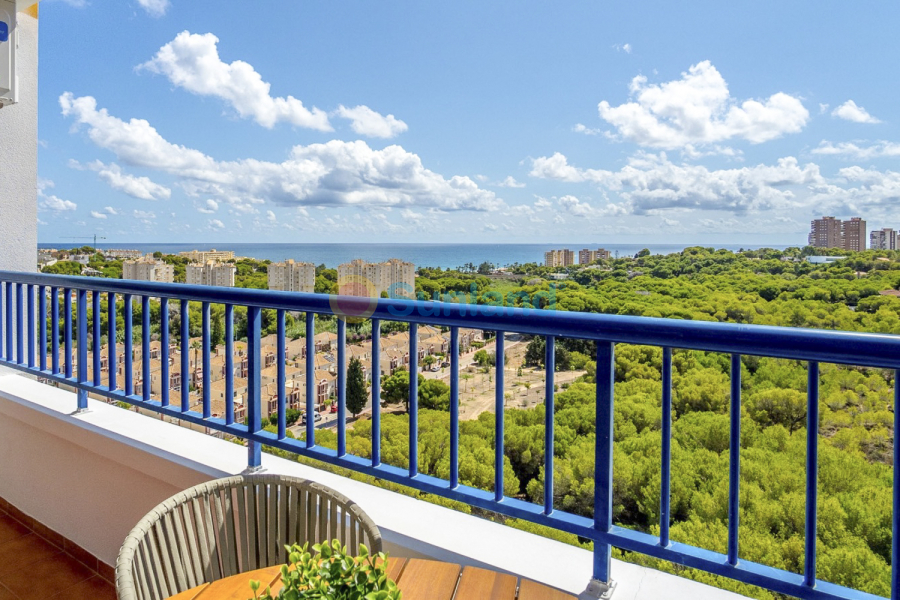 Verkauf - Apartment - Orihuela Costa - Campoamor