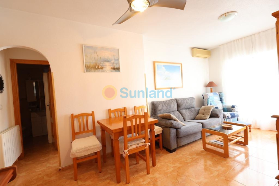 Verkauf - Apartment - Torrevieja - Acequion