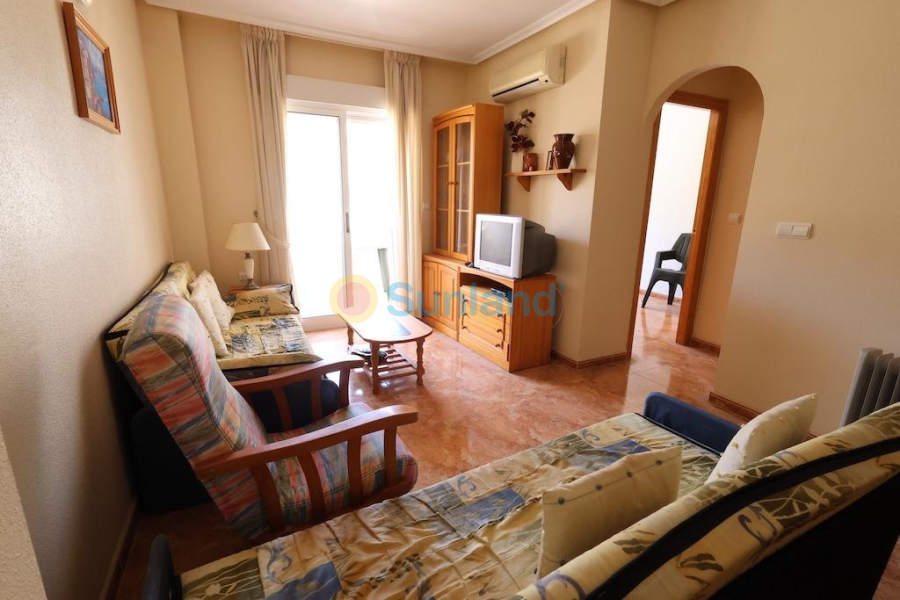 Segunda mano - A - Torrevieja - El Molino