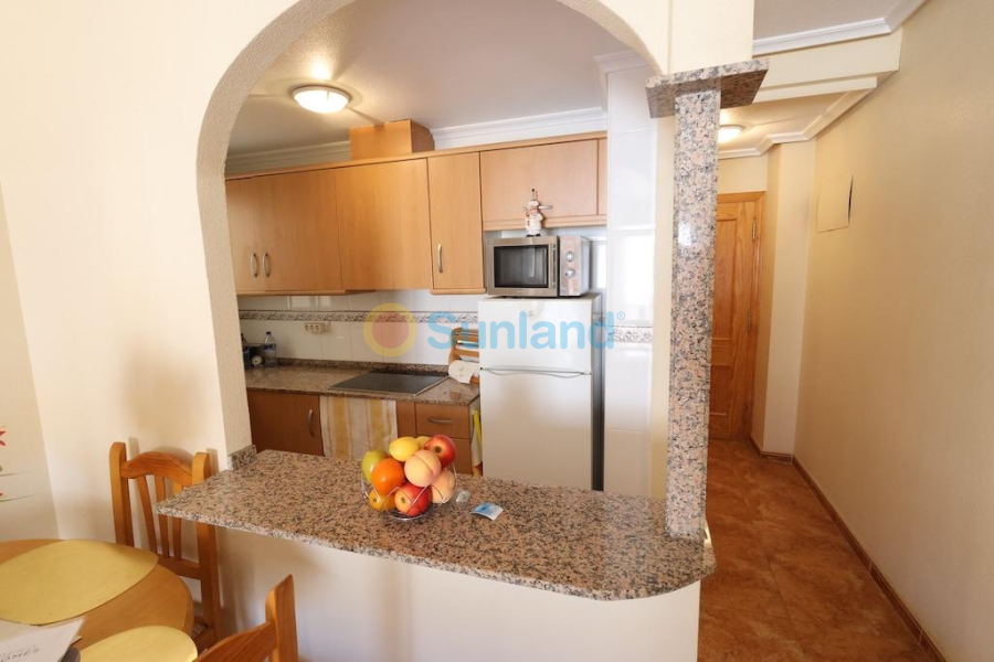 Segunda mano - A - Torrevieja - El Molino