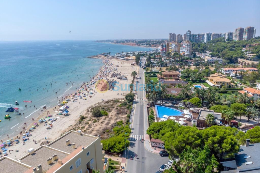 Segunda mano - Apartamento - Orihuela Costa - Campoamor