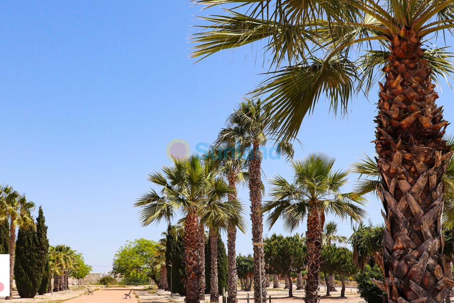 Ny bygg - Villa - San Fulgencio - La Escuera